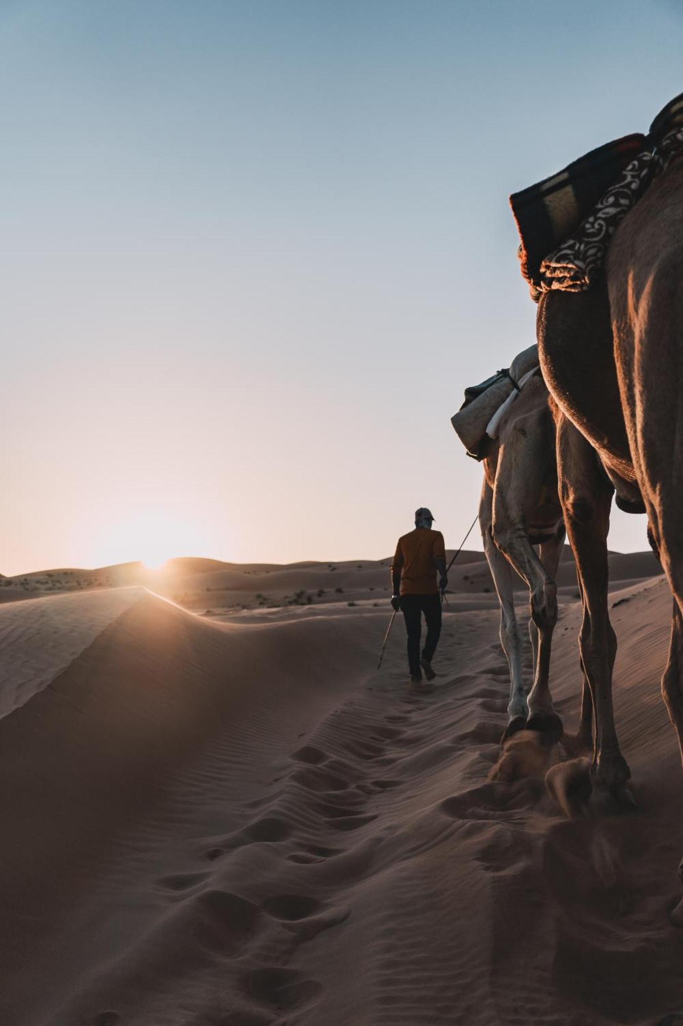 Hamood Desert Private Camp Al Wāşil Zewnętrze zdjęcie