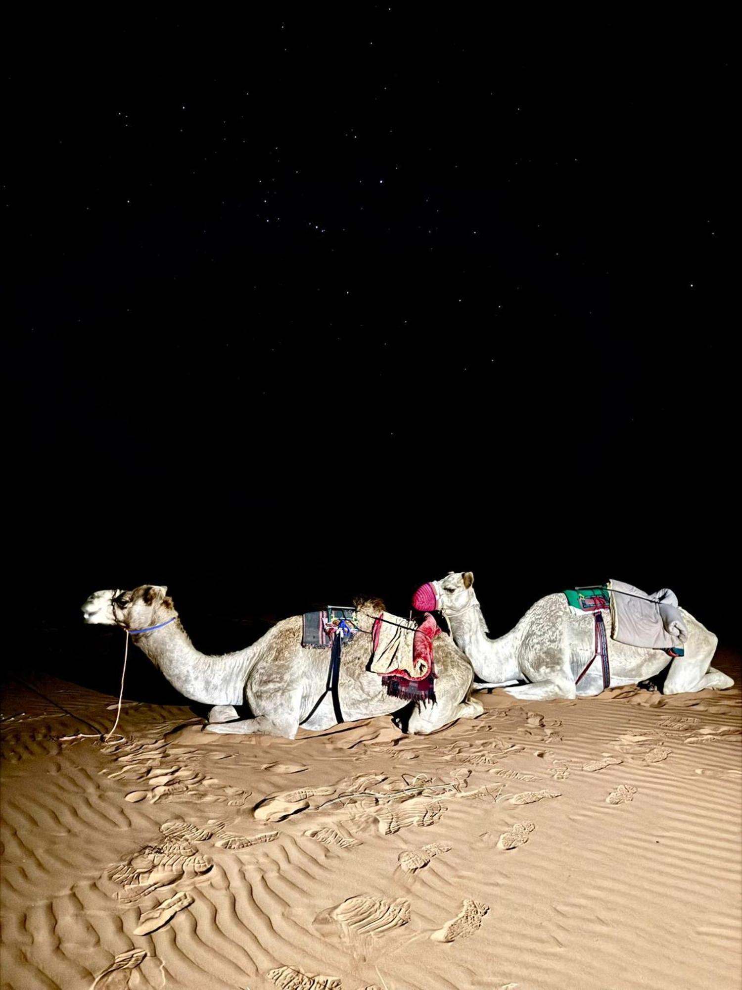 Hamood Desert Private Camp Al Wāşil Zewnętrze zdjęcie